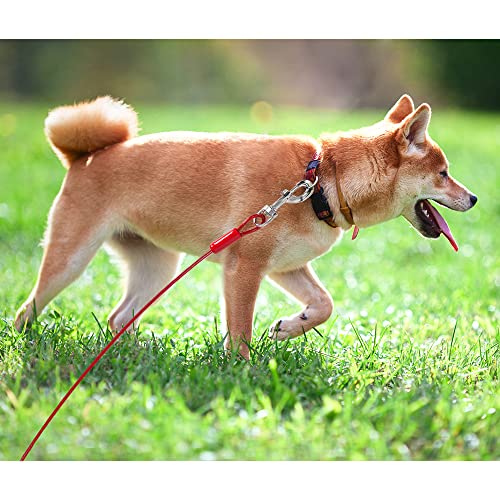 Bv Pet Tie Out Cable For Dogs Up To 125 Pounds, 30 Feet (Red/ 125Lbs/ 30Ft) #TOP7