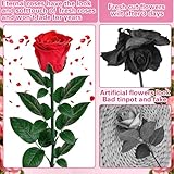 SERIONR B0G2LJNZS7 lato 4