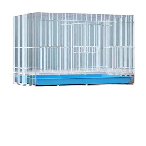 ܂肽ݎrbgP[WA |[^uybgP[W pP[W ETMAqLA``Abĝ߂̗zI (Large,zCg)