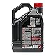 Motul 104056 5000 4T, 10 W-40, 4 L