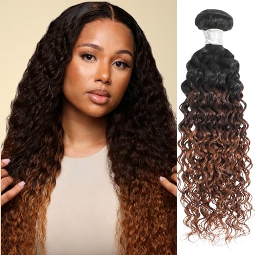 ALHER 12A Ombre Human Hair Bundles Water Wave, Soft Thick