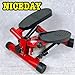 ナイスデイ コンパクト ステッパー NICE-WS レッド