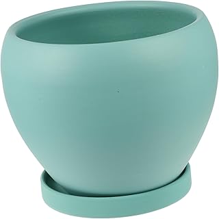 12 Cactus Planter Ideas for Low Maintenance Outdoor Style 120 Ceramic Flower Pot with Tray for Indoor and Cacti Decor for Office and B...