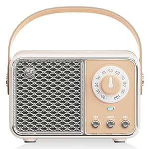 Leikurvo Mini Tragbarer Bluetooth Lautsprecher: Lautsprecher in Radioform, Retro Musikbox Portabler Bluetooth5.1 Box für Zimmer/Büro/Wohnzimmer Deko/Geburtstagsgeschenk, 10 Meter Bluetooth-Reichweite