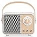 Leikurvo Mini Tragbarer Bluetooth Lautsprecher: Lautsprecher in Radioform, Retro Musikbox Portabler Bluetooth5.1 Box für Zimmer/Büro/Wohnzimmer Deko/Geburtstagsgeschenk, 10 Meter Bluetooth-Reichweite