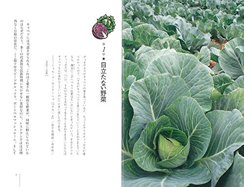 キャベツと白菜の歴史 を読んだ これ知ってるかい