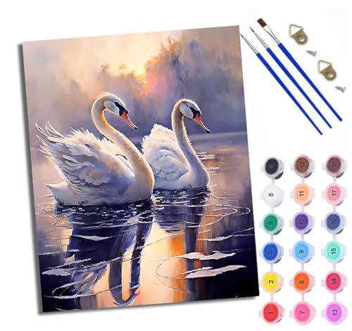 Malen Nach Zahlen Für Erwachsene Zweibettzimmer mit Blick auf den Schwanensee Malen Nach Zahlen Erwachsene Malen Nach Zahlen DIY Malen-Nach-Zahlen Kits Rahmenlose Leinwand Mit 3 Pinseln - 16 * 20 Zoll