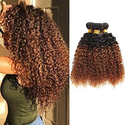 Feelgrace Ombre Kinky Curly Hair Bundles, 1B/30 Brown Real Brazilian Virgin Curly Hair 3 Bundles, Kinky Curly Hair Weave Ombre Bundles, 14 16 18 Inch