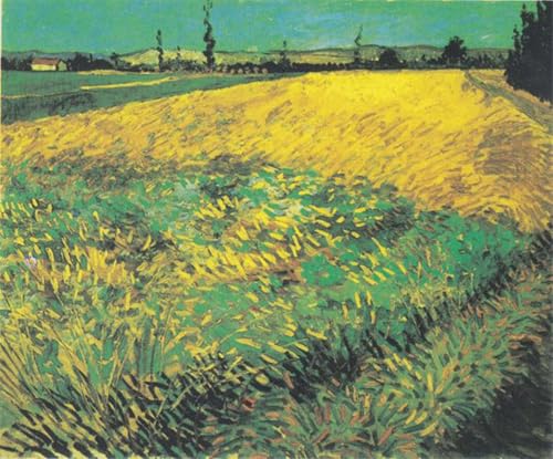 Cuadro para salón de Van Gogh Campo de grano, lienzo decorativo de 60x90cm para paredes con estilo