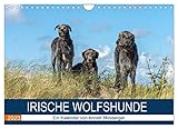 Irische Wolfshunde (Wandkalender 2023 DIN A4 quer), Calvendo Monatskalender