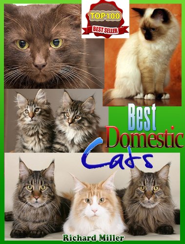 Best Domestic Cat Breeds: Cat Breed Picture Book (Cat Breeds With Pictures)