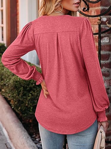 BETTE BOUTIK Long Sleeve Shirts for Women Fall Tops Dressy Blouses Pleated V Neck Tunic Tops for Leggings S-3XL