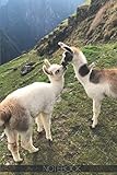 macus  Notebook - Kissing Baby Cute Llama Animal Journal Maccu Picchu: (110 Pages 6\