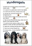 Merchandise for Fans Blechschild/Warnschild/Türschild - Aluminium - 15x20cm - - Hunderegeln - Motiv: Hund Tibet Terrier - 01