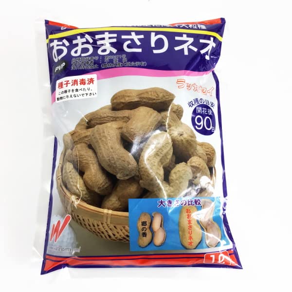 Amazon.co.jp: 落花生 種子 おおまさりネオ 1リットル Amazon.co.jp: 落花生 種子 おおまさりネオ 1リットル