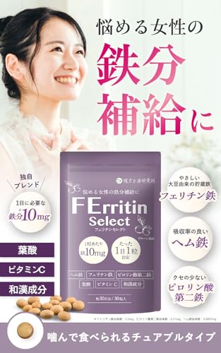 漢方生薬研究所 フェリチンセレクト の商品画像 1