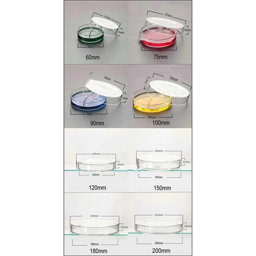 Attrezzature e forniture di laboratorio Vetreria da laboratorio for piastre di coltura in vetro borosilicato con diametro inferiore 60 mm a 200