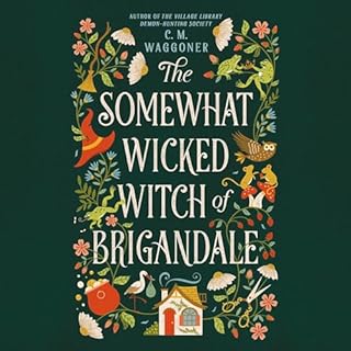 The Somewhat Wicked Witch of Brigandale cover art