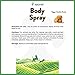 NaturVet Body Spray with Sugar Cookie Scent for Dogs & Cats 8 oz