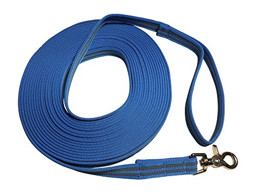 DOGS and MORE - Correa de perro DE GOMA CINTA REFLECTANTE/ correa de entrenamiento / correa de adiestramiento = > 10 Metro (con correa de mano) en Azul Cover