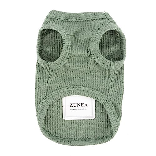 Zunea Hundeshirts für Kleine Hunde Sommerweste Haustier-T-Shirt Welpen Mädchen Jungen Kleidung Weich Atmungsaktiv Basic-T-Shirt Dehnbar ärmellos Tank-Top Chihuahua Katze Sweatshirt Kleidung Grün M