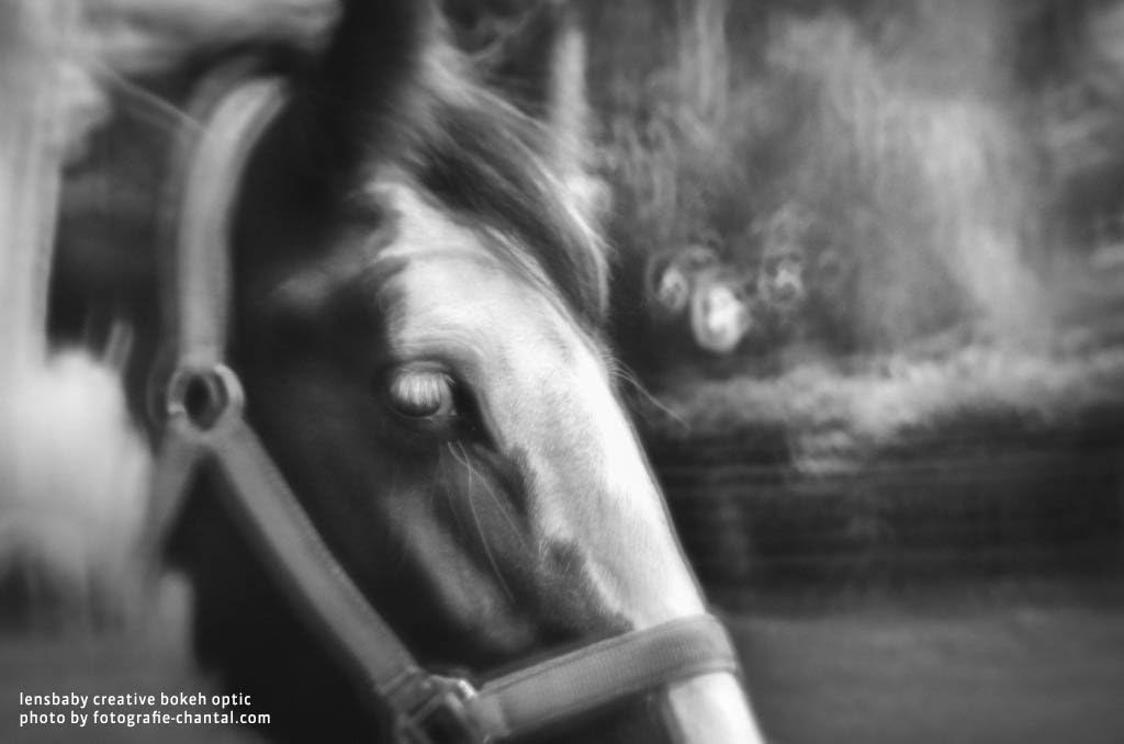 Get Discount 70% Price Lensbaby Creative Bokeh Optic