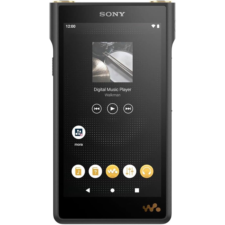SONY NW-WM1AM2 128GB WALKMAN(美品) sony-nw-wm1am2-main-01__69381.