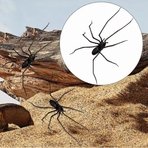 2 Imán Araña 3D Realista para Refrigerador miniatura 4