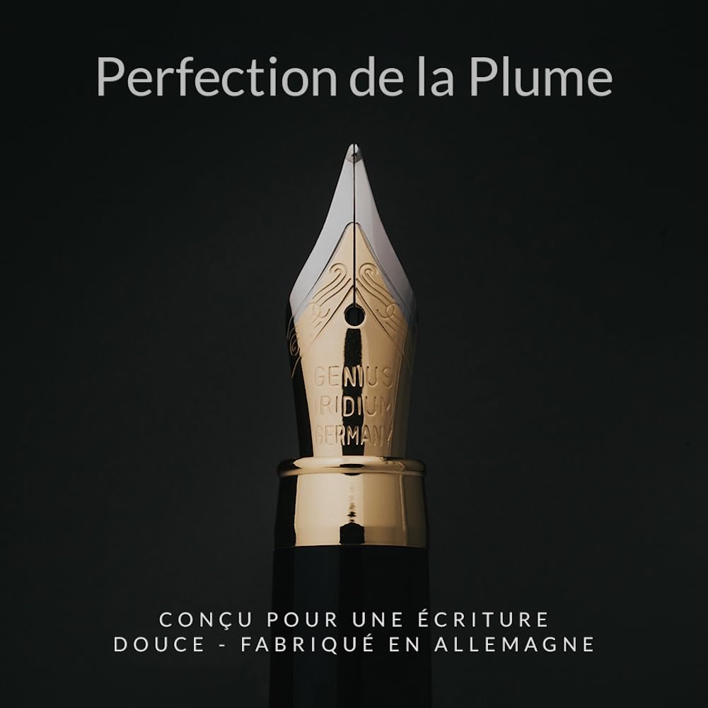 Wordsworth & Black Ensemble de stylo-plume, bois de bambou de - plume moyenne, coffret cadeau; Comprend 6 cartouches d'encre, un convertisseur de recharge d'encre; Calligraphie, dessin [Bois de rose]