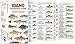 Idaho Freshwater Fishes (Nature Observation North America)