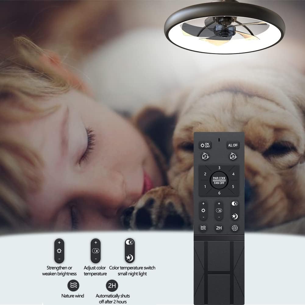 Ceiling Fan with Lights Dimmable LED Reversible Blades Timing with Remote Control, 5 Invisible Blades Semi Flush Mount Low Profile Fan (21.5in, Black) : Tools & Home Improvement
