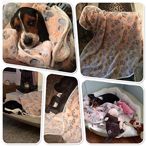 ALLISANDRO Hundedecke Flaushige Decke(100x80cm) Super Softe und Warme Katzendecke Schlafdeck Niedlicher Klauendruck L, Coffee