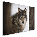 Feeby. Cuadro en lienzo - 1 Parte - 50x70 cm, Imagen impresión Pintura decoración Cuadros de...