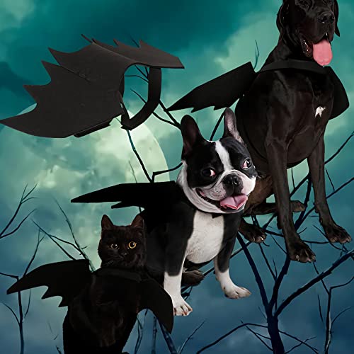 Bowtus Halloween Cat Bat Wings Pet Costume With Pumpkin Bells For Halloween Party Decorations, Cute Puppy Dog And Cat Collar Bat Wings Cosplay Party Dress Up Funny Cool Appare(Small) #TOP6