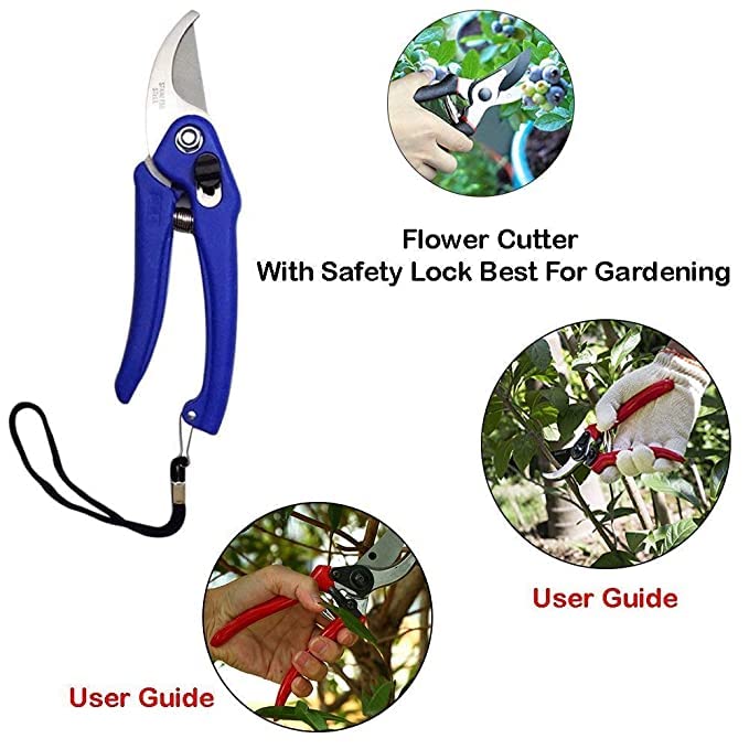 Image of Dinojames Tool Easily Punches Gardening Tool Set Stainless Steel Garden Pruner /Scissors, Pruning Seeds, Flower Cutter and Grass Cutter, 18cm (Multicolour)