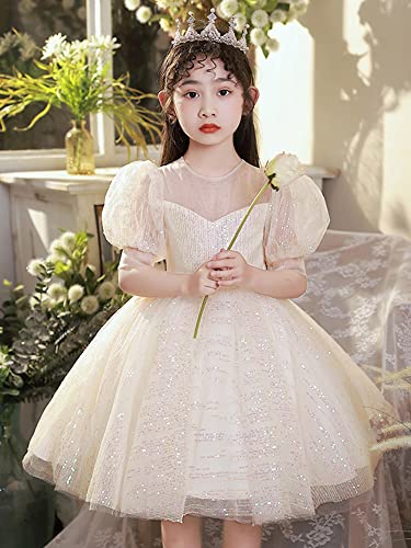 Princess Girls Pageant Tutu Fluffy Dress Bling Sequin Puff Short Sleeve Flower Girl Ball Gown2