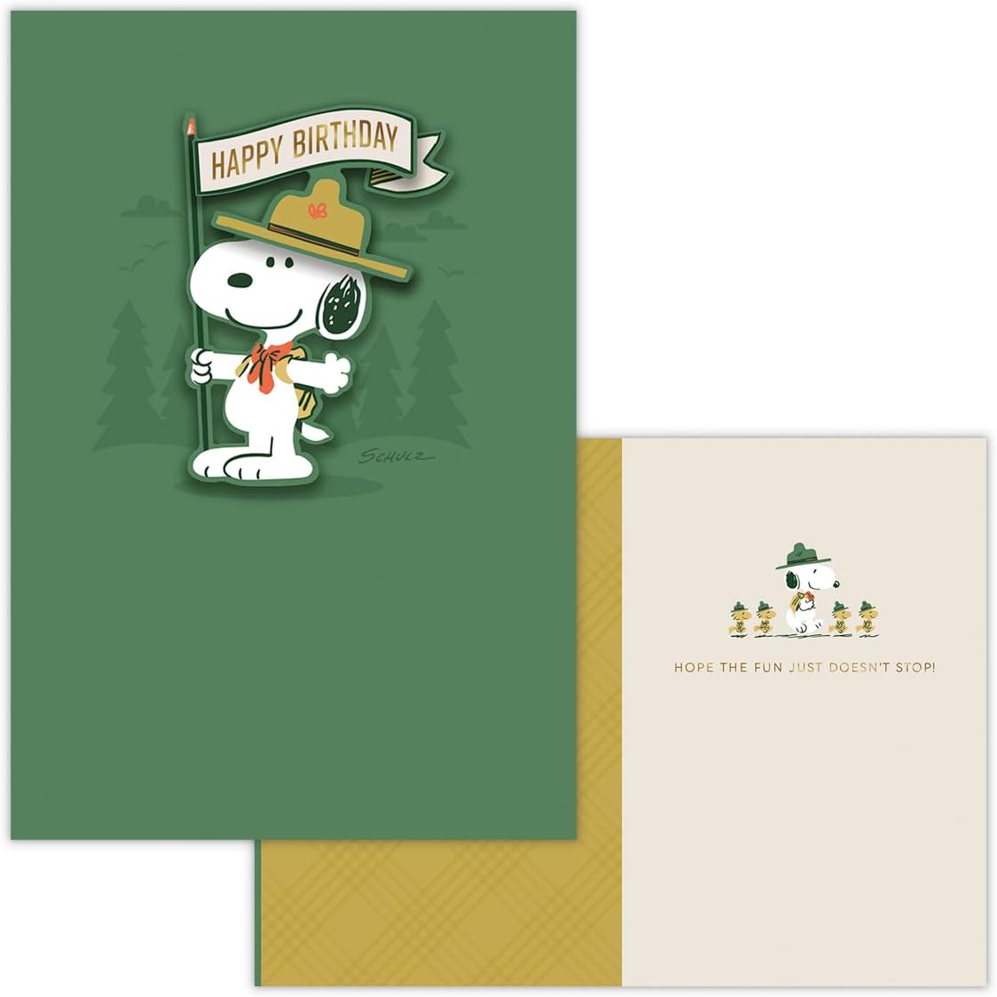 Hallmark Snoopy Birthday Card Birthday Flag 832674