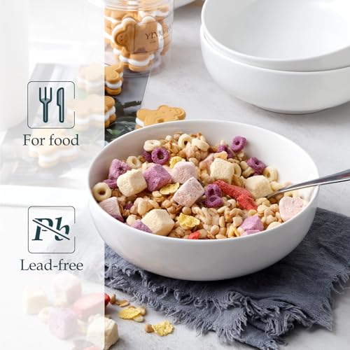 NUTRIUPS 900ml Groß Müslischalen, 17cm Suppenschalen, 4 Stück Schüsseln für Nudeln Pho Salat, 6.5in Soup Bowl