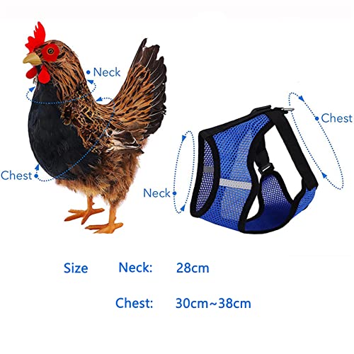 2 Stück Hühnergeschirr mit Leine, Verstellbares Hühner-Geschirr mit Leine, Atmungsaktiv Hühnerwestem, Trainingsgeschirr Haustiergeschirr für Huhn, Henne, Ente Oder Gans Lauftraining