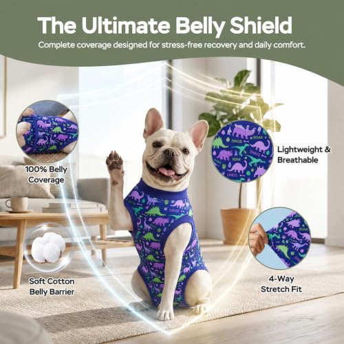Image of PetWarm Surgery Recovery Suit Spay, Onesies for Dogs, Dog Cone Alternative After Surgery Substitute E-Collar and Cone Prevent Dog Onesies Pet Recovery Suit, Dinosaur Pattern, Blue Purple, XS