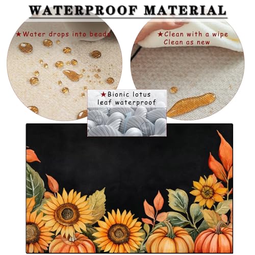 Tapis Pumpkins 60x90cm lavable et imperméable pour entrée et salon - 3