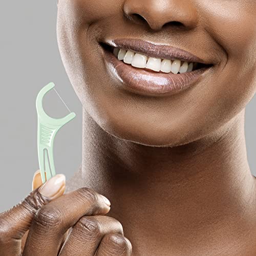 Plackers Micro Mint Dental Flossers, Fresh Mint Flavor, Fold-Out Toothpick, Super Tuffloss, Easy Storage With Sure-Zip Seal, 300 Count #TOP2