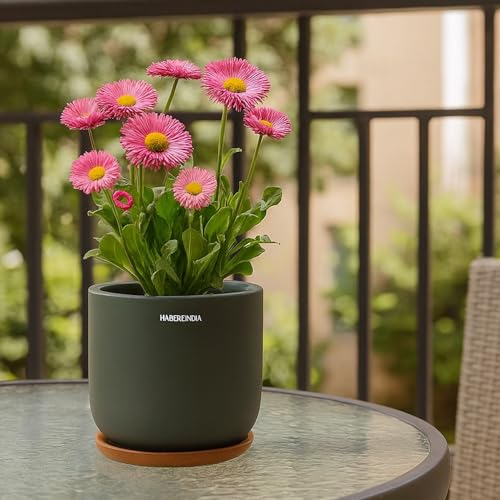 Habere India-All the Cultures Fabricating India Pot for Plants | ...