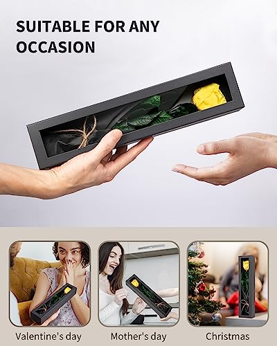 Image of Yellow Flowers for Delivery Prime, Preserved Yellow Roses Flower Gifts for Women, Real Roses Single Rose Gifts for Her, Mom Birthday Gifts from Daughter,, Valentines Flowers
