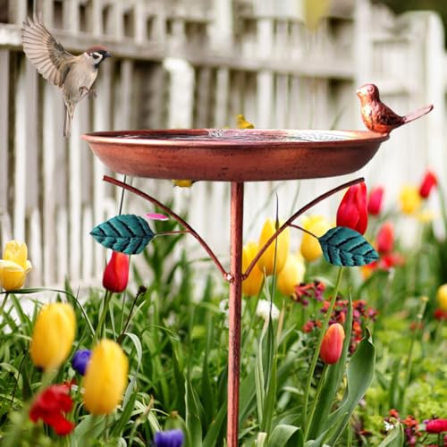 Baño de pájaros para exteriores que soluciona la falta de agua en su jardín y césped 4