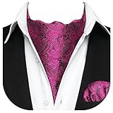 HISDERN Ascot Ties for Men Paisley Floral Ascot and Pocket Square Set Classic Self Tie Mens Hot Pink Cravat Handkerchief for Wedding Prom