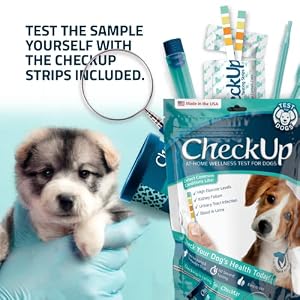 CheckUp Kit at Home Wellness Test for Dogs | Telescopic Pole, Detachable Cup & 2 Test Strips | Detects 4 Most Common Pet Health Indicators - Glucose, Protein, pH and Blood in Urine | 2 Strips CheckUp Kit at Home Wellness Test for Dogs | Telescopic Pole, Detachable Cup & 2 Test Strips | Detects 4 Most Common Pet Health Indicators – Glucose, Protein, pH and Blood in Urine | 2 Strips