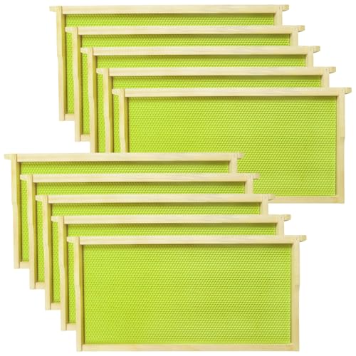 BeeQuestify 10 Pack Deep Frames for Bee Hives Unassembled Deep Wood Bee Frames with Food Grade Beeswax Coated Foundations Sheets Kit for Beehives 9-1/8-inch Green