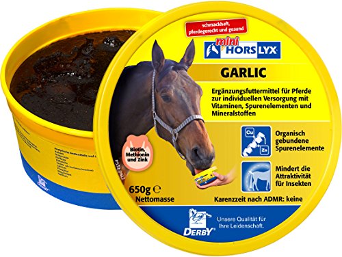 Masa de lamer para caballos 'Horslyx'