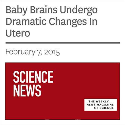 Baby Brains Undergo Dramatic Changes In Utero (HörbuchDownload) Mark